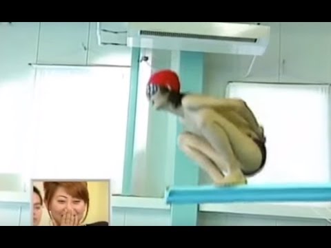 おもしろい映像 芸人が今までで1番面白いと思った映像は 誰が見ても面白い オールミーネット